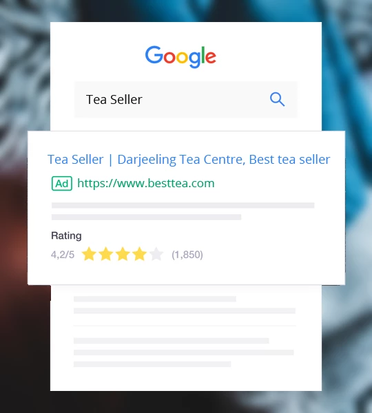 Google-Seller-Ratings